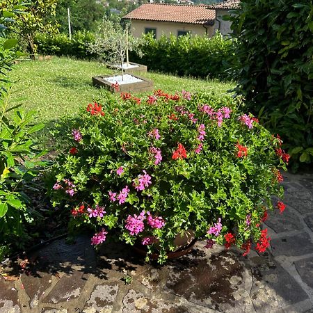 Casa Margherita Celide San Romano Eksteriør bilde