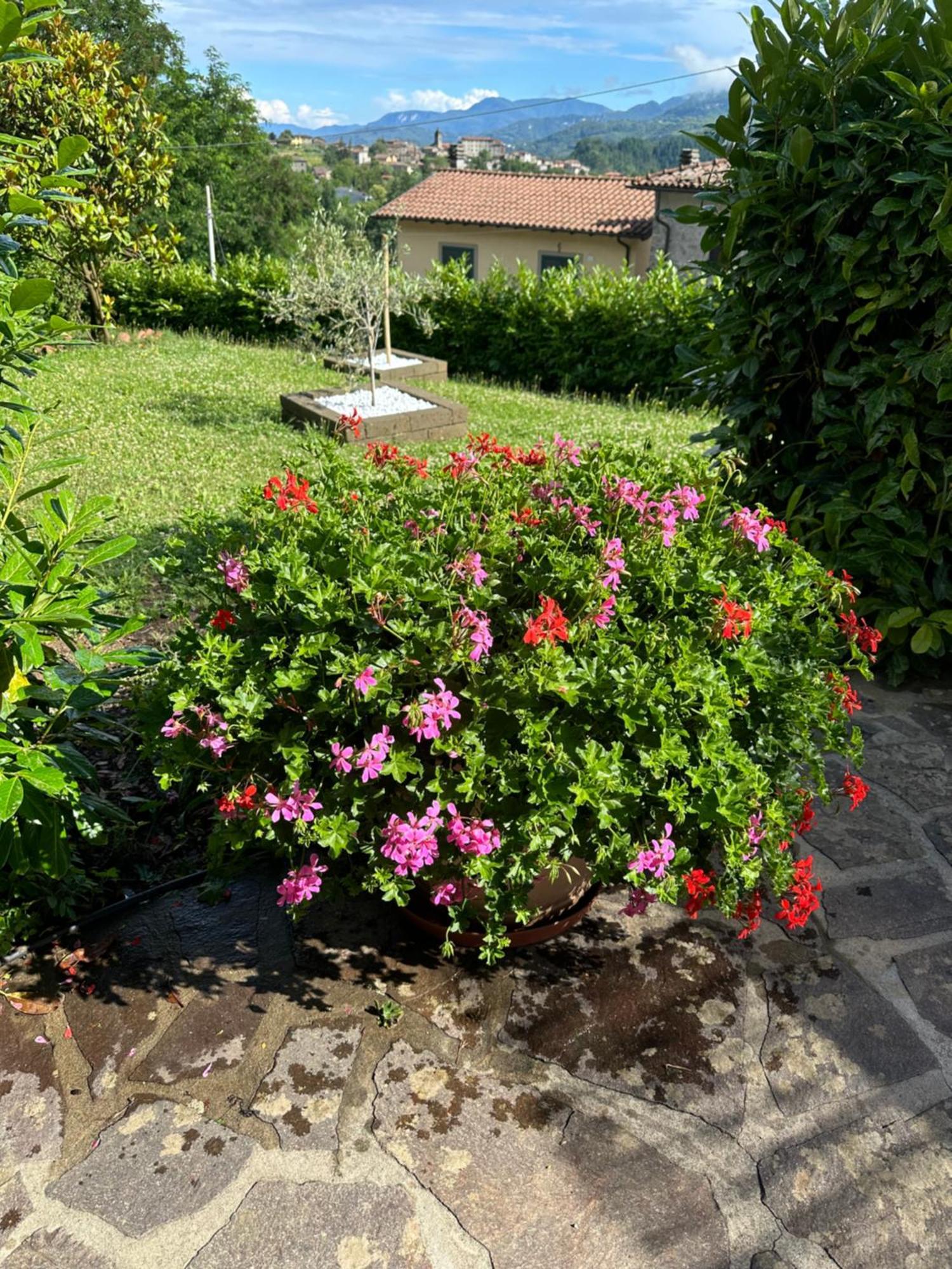 Casa Margherita Celide San Romano Eksteriør bilde